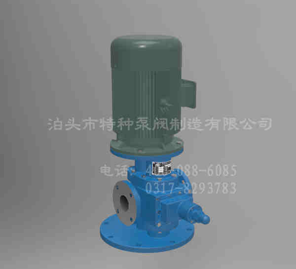 北京齿轮油泵~泊头特种泵阀~YHB-LY系列立式圆弧齿轮泵