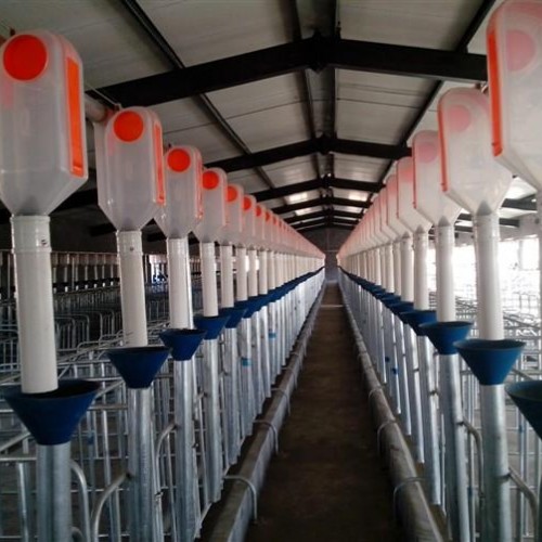 上海自动化养猪设备订制加工~开元畜牧支持定制量大从优