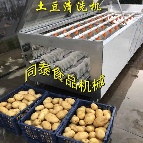 马铃薯毛辊清洗机 果蔬毛辊清洗机