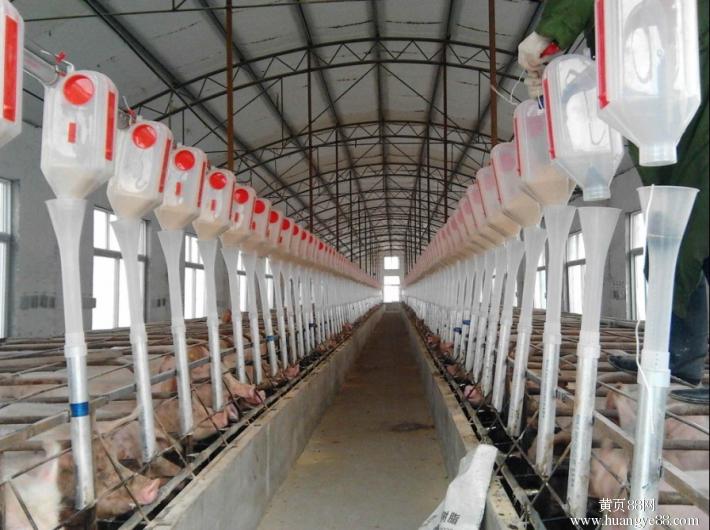 辽宁现代化养猪设备加工_开元畜牧设备订制畜牧自动喂料系统
